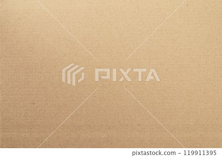 Blank cardboard texture, craft background 119911395