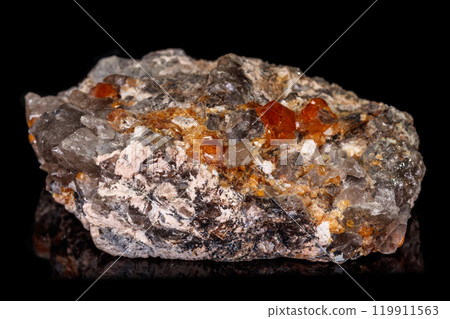 macro mineral stone Grossular, Garnet, Epidote on a black background 119911563