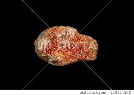 Macro mineral stone Vanadinite on a black background Macro mineral stone Vanadinite on a black background 119911568