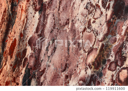 macro stone mineral jasper on black background 119911600