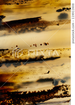 macro mineral stone Agata muschiata on a white background macro mineral stone Agata muschiata on a white background 119911608