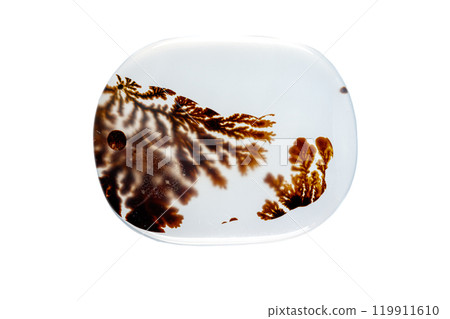 macro mineral stone Agata muschiata on a white background macro mineral stone Agata muschiata on a white background 119911610