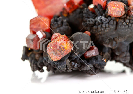 Macro mineral stone Vanadinite on a white background Macro mineral stone Vanadinite on a white background 119911743