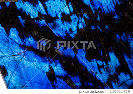 Macro of a stone Labradorite mineral on a white background Macro of a stone Labradorite mineral on a white background 119911759