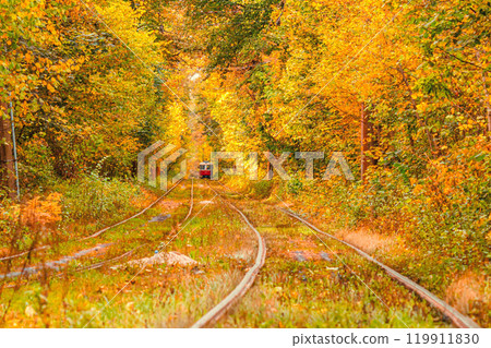 Autumn forest through which an old tram rides (Ukraine) Autumn forest through which an old tram rides (Ukraine) 119911830