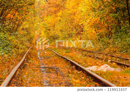 Autumn forest through which an old tram rides (Ukraine) Autumn forest through which an old tram rides (Ukraine) 119911837