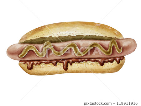 Hot dog with mustard and ketchup. Fast food color illustration. Realistic image for menu design, poster, brochure, website. Classic hand drawn hot dog. For restaurant, snack bar, pizzeria, street food Hot dog with mustard and ketchup. Fast food color illustration. Realistic image for menu design, poster, brochure, website. Classic hand drawn hot dog. For restaurant, snack bar, pizzeria, street food 119911916