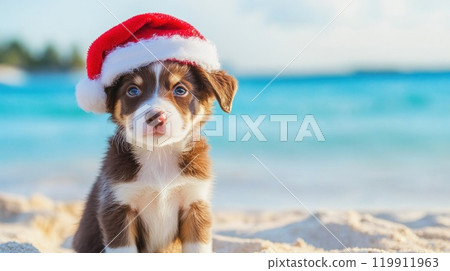 Cute puppy in Santa hat sitting on beach with ocean in background 119911963