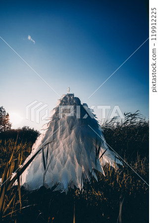 Large white angel wings rise above a field of grass, illuminated by the warm glow of the setting sun against a clear blue sky, creating a powerful and ethereal scene. Angel with large wings. 119912225