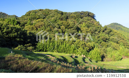 Ishibe rice terraces are famous for their view of Mt. Fuji after the harvest. 119912538