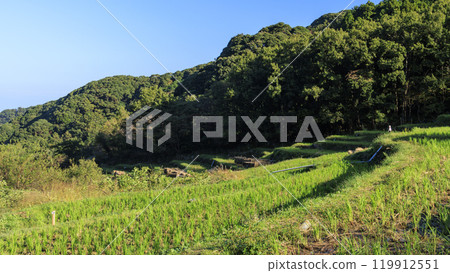 石部的梯田因收穫後的富士山而聞名。 石部的梯田因收穫後的富士山而聞名。 119912551