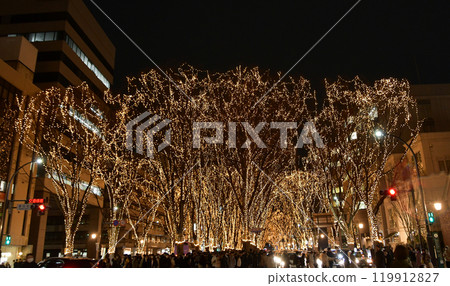 Sendai, the City of Trees: SENDAI Pageant of Light 20 Sendai, the City of Trees: SENDAI Pageant of Light 20 119912827