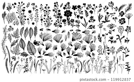 Set of grass and flowers. hand drawing. Not AI. Vector illustration 119912837