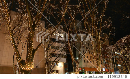 Sendai, the City of Trees, SENDAI Pageant of Starlight 2023 Sendai, the City of Trees, SENDAI Pageant of Starlight 2023 119912846