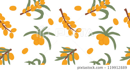 A seamless pattern featuring hand-drawn sea buckthorn branches with vibrant orange berries and green leaves on a white background. Ideal for natural product packaging, textiles, and botanical designs. A seamless pattern featuring hand-drawn sea buckthorn branches with vibrant orange berries and green leaves on a white background. Ideal for natural product packaging, textiles, and botanical designs. 119912889