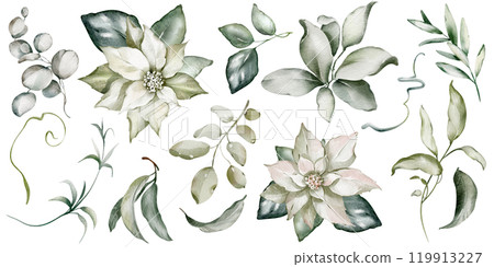 Watercolor clip art green leaves, flowers buds on isolated background. Hand drawn set Christmas silhouettes plants. Botanical elements twigs, eucalyptus, mistletoe, foliage for icon or logo. Watercolor clip art green leaves, flowers buds on isolated background. Hand drawn set Christmas silhouettes plants. Botanical elements twigs, eucalyptus, mistletoe, foliage for icon or logo. 119913227