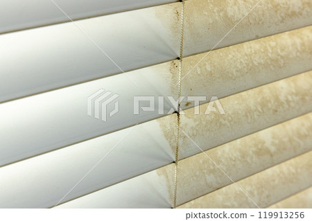 Residential Window Shades Showing the Before and After of a Good Cleaning - One Side Clean and One Side Dirty. 119913256