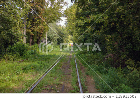 Long tram tracks running through the forest. Long tram tracks running through the forest. 119913502