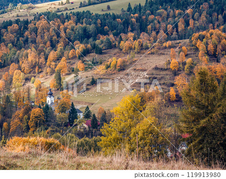Scenic Autumn Landscape with Church and Shepherd's Sheep Scenic Autumn Landscape with Church and Shepherd's Sheep 119913980
