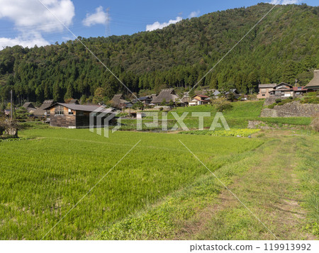 Autumn scenery of Miyama Kayabuki no Sato 119913992
