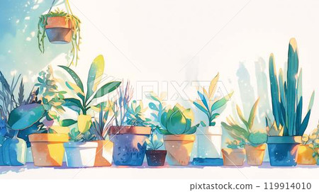 治癒室內與多肉植物和室內植物的集合背景白色自然光 119914010