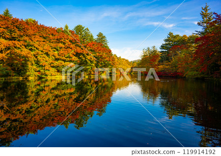 Autumn leaves at Kumoba Pond in Old Karuizawa 119914192