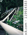 Scenery of stairs and handrails decorated with greenery and hydrangeas - Nature and quiet walking paths in Japan Scenery of stairs and handrails decorated with greenery and hydrangeas - Nature and quiet walking paths in Japan 119914383