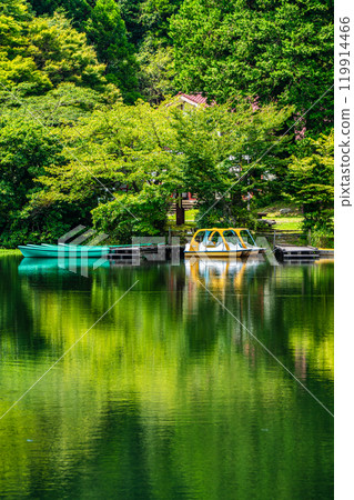 鮮綠的白雲池【長崎縣雲仙市】 119914466