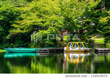 鮮綠的白雲池【長崎縣雲仙市】 119914470