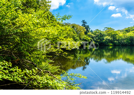 Fresh greenery of the White Cloud Pond [Unzen City, Nagasaki Prefecture] 119914492