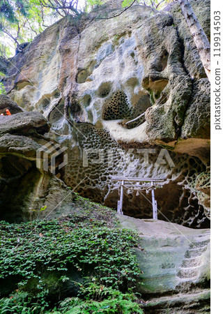 Huge rock and torii gate (vertical) 119914503
