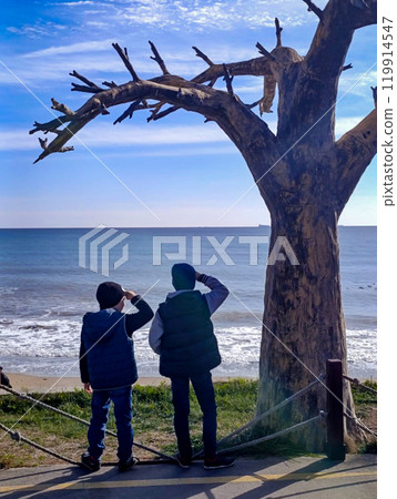 On the shores of the Black Sea. On a sunny day, two boys stand in the shade of a dry tree and look into the distance, ships are visible on the horizon of the Black Sea in Odessa. 119914547