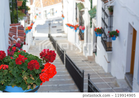 Stairs with beautifully planted pots of red flowers 119914905