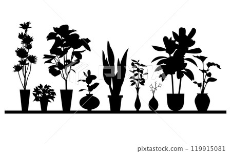 室內植物設計材料 119915081