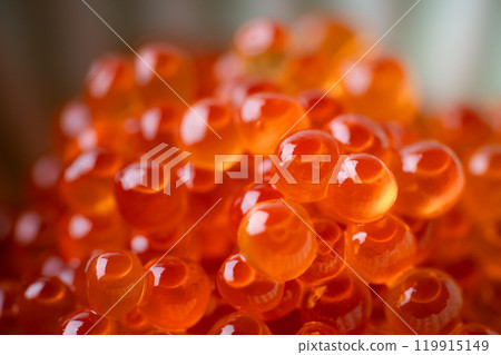 醬油醃鮭魚子特寫 119915149
