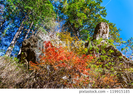 Tokyo: Mt. Mitake Rock Garden in Yellow Leaves, Tengu Rock Tokyo: Mt. Mitake Rock Garden in Yellow Leaves, Tengu Rock 119915185