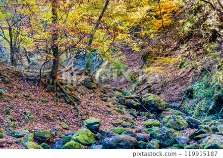東京黃葉禦岳庭園 119915187