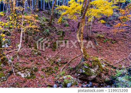 東京黃葉禦岳庭園 119915200