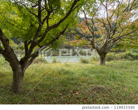流經美山町的由良川沿岸風景 119915380