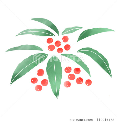 Watercolor style simple illustration of a Manryo 119915478