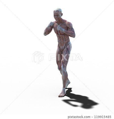 肌肉標本男性燙髮3DCG插圖素材 肌肉標本男性燙髮3DCG插圖素材 119915485