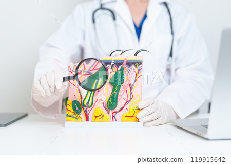 Dermatologist with magnifying glass anatomy of human skin with hair. Skin disease and Hair loss. Health care, Melanoma and skin cancer, Insurance, Dermatology treatment and Beauty consultation clinic Dermatologist with magnifying glass anatomy of human skin with hair. Skin disease and Hair loss. Health care, Melanoma and skin cancer, Insurance, Dermatology treatment and Beauty consultation clinic 119915642