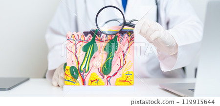 Dermatologist with magnifying glass anatomy of human skin with hair. Skin disease and Hair loss. Health care, Melanoma and skin cancer, Insurance, Dermatology treatment and Beauty consultation clinic Dermatologist with magnifying glass anatomy of human skin with hair. Skin disease and Hair loss. Health care, Melanoma and skin cancer, Insurance, Dermatology treatment and Beauty consultation clinic 119915644