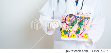 Dermatologist with magnifying glass anatomy of human skin with hair. Skin disease and Hair loss. Health care, Melanoma and skin cancer, Insurance, Dermatology treatment and Beauty consultation clinic 119915653