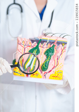 Dermatologist with magnifying glass anatomy of human skin with hair. Skin disease and Hair loss. Health care, Melanoma and skin cancer, Insurance, Dermatology treatment and Beauty consultation clinic 119915654