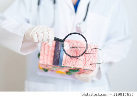 Dermatologist with magnifying glass anatomy of human skin with hair. Skin disease and Hair loss. Health care, Melanoma and skin cancer, Insurance, Dermatology treatment and Beauty consultation clinic 119915655