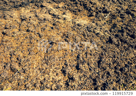 稻殼犁過的田地 b-3 強調暖色和冷色 119915729