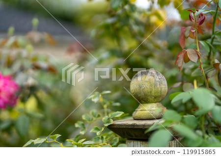 Mossy wooden stake 119915865