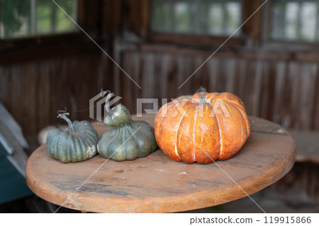Orange and green pumpkins on a table 119915866