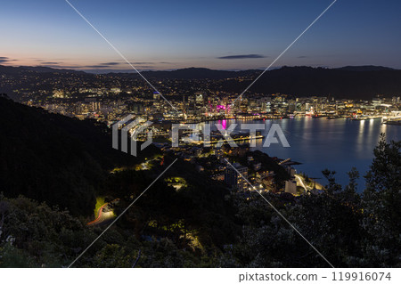 從紐西蘭威靈頓維多利亞山欣賞港口夜景 119916074